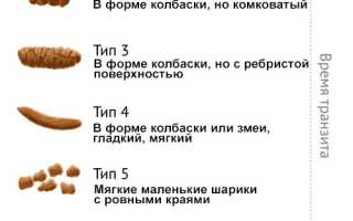 Диарея (понос) – изменение частоты испражнений и консистенции кала