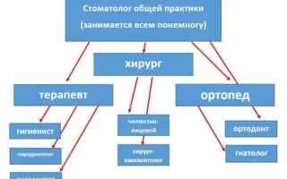 Врач стоматолог: особенности специализации