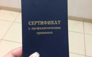 Что написано в законе о прививках в РФ