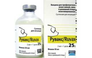  Профилактика кори с помощью прививки Рувакс