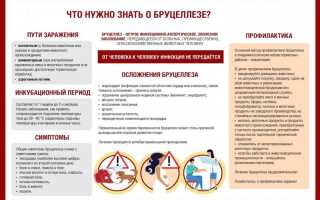 Бруцеллез – опасное зоонозное инфекционное заболевание