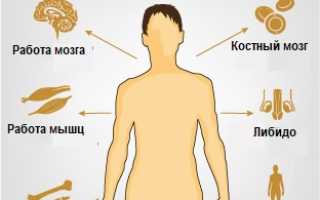 Снижение тестостерона: обнаружение симптома, лечение и профилактика