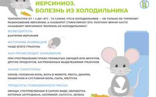 Что такое иерсинеоз и псевдотуберкулез