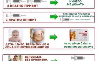 Иммунопрофилактика кори с помощью прививки Эрвевакс