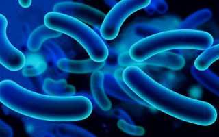 Ureaplasma parvum: способы заражения и лечение