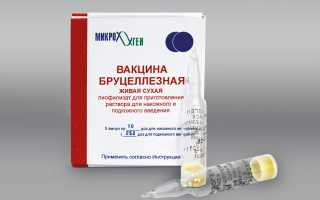 Вакцина для профилактики бруцеллезной инфекции