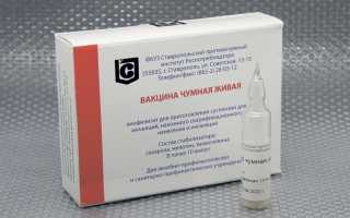 Вакцина живая сухая для профилактики чумы