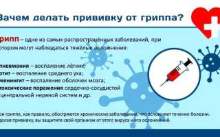 Вакцинация от гриппа Бегривак: преимущества и недостатки