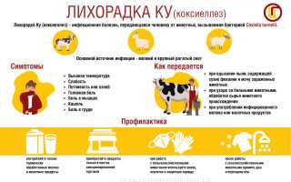 Лихорадка Ку – распространённая зоонозная инфекция