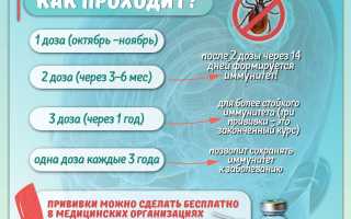 Бесплатная прививка от клещевого энцефалита