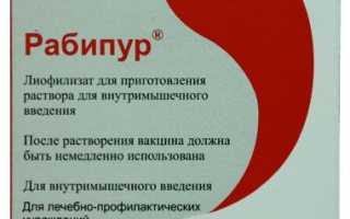 Рабипур – вакцина для профилактики бешенства