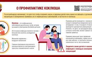 Вакцинация от коклюша