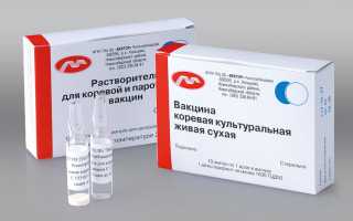 Когда и зачем делают прививку ЖКВ