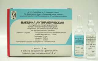 Антирабические вакцины как метод профилактики бешенства