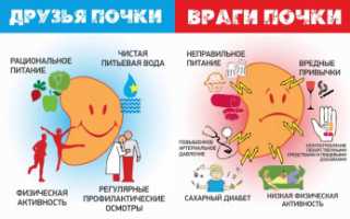 Нефролог: сфера деятельности, и какими болезнями занимается