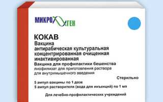 Описание антирабической вакцины для профилактики бешенства