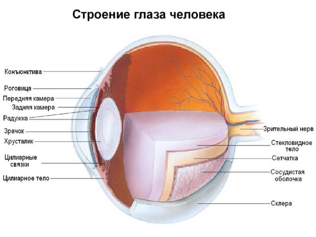 Схема Строение