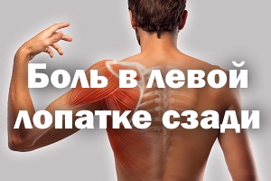Боль в левой лопатке сзади - причины Боль в левой лопаточке сзади - причины