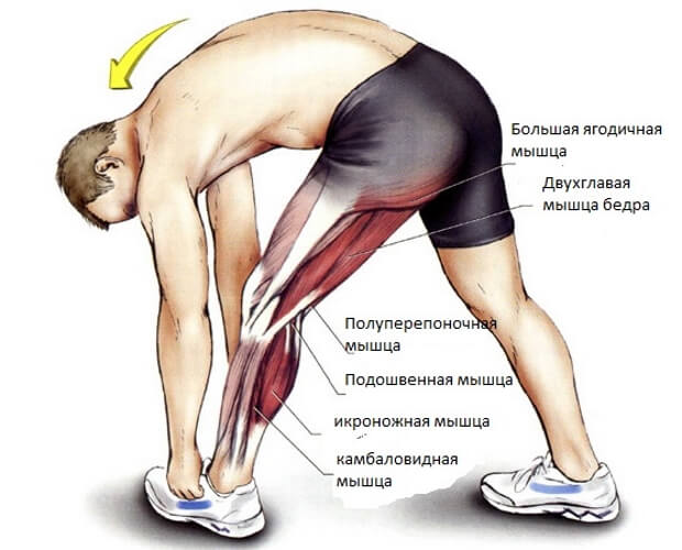 Разминаемся Схема