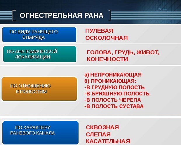Какие бывают Виды