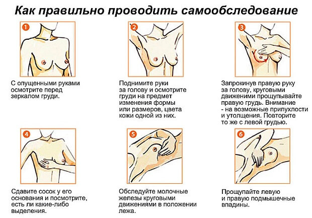 Обследование Проводим осмотр