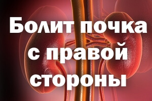 Рисунок Сосуды и органы