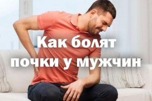 Как болят почки у парней Как болят почки у мужчин