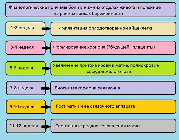 Недели Причины
