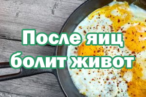 После яиц болит живот После яичницы болит живот