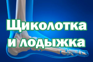 Щиколотка и лодыжка - в чем разница Щиколотка и лодыжка - различия