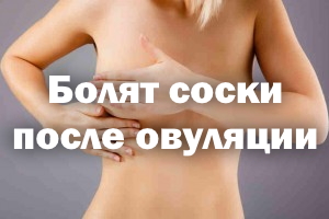 Болят соски после овуляции Болят сосочки после овуляции