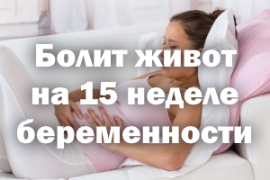 Болит живот на 15 неделе беременности Болит животик на 15 неделе беременности