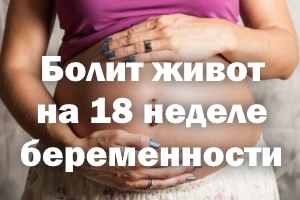 Болит живот на 18 неделе беременности Болит животик на 18 неделе беременности